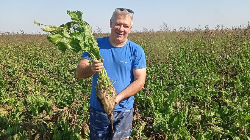 Šećerna repa u rukama Šandora Juhasa © Biofor System Šećerna repa