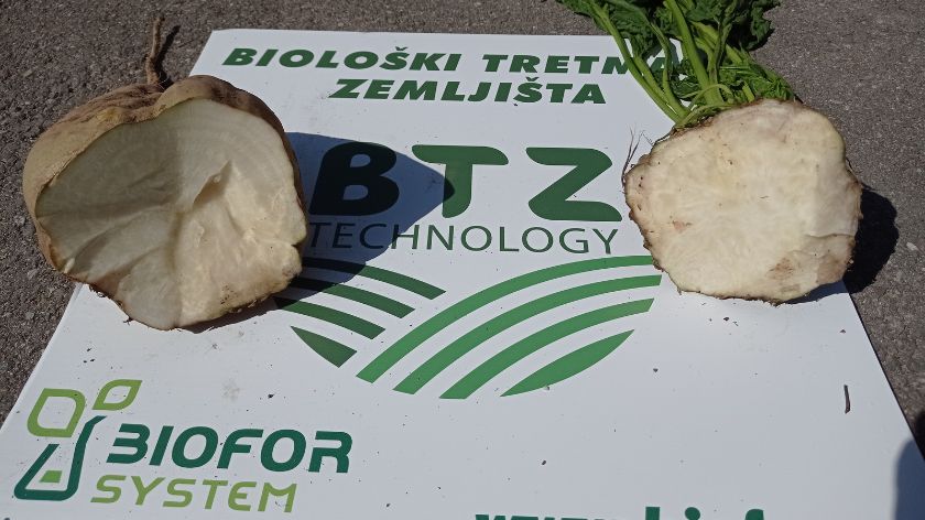 Šećerna repa i BTZ tehnologija © Biofor System Šećerna repa