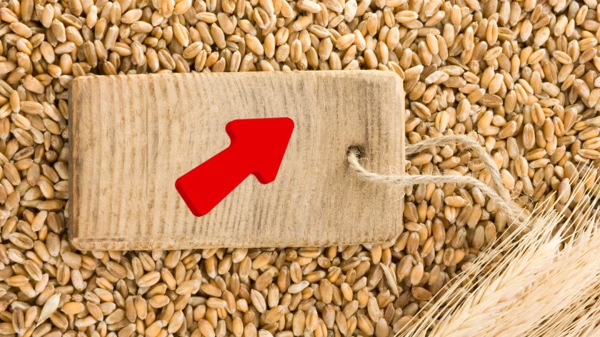 Cena pšenice