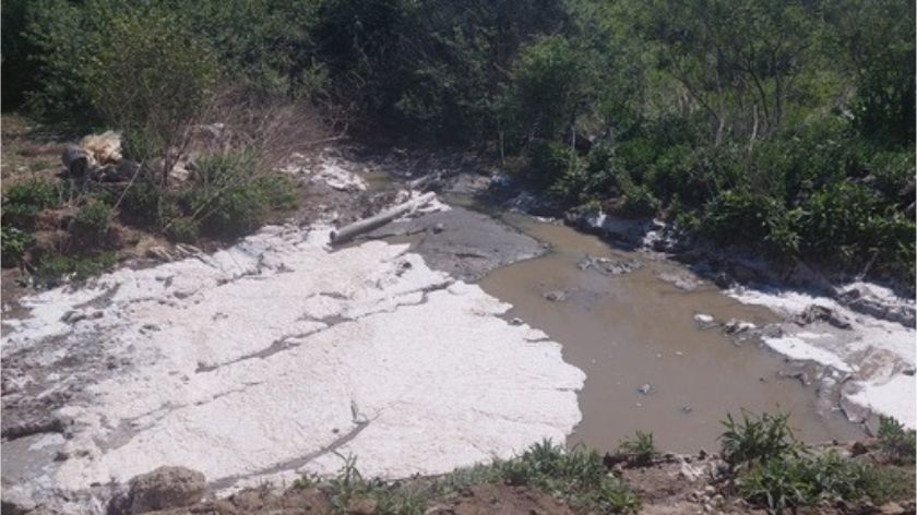 Dan planete Zemlje © Marko Stanojević Dan planete Zemlje