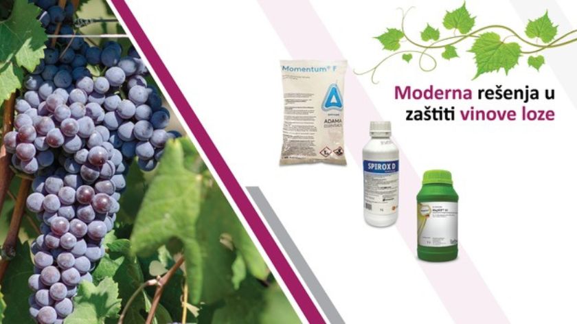 Savacoop rešenja za zaštitu vinove loze © Savacoop Zaštita vinove loze