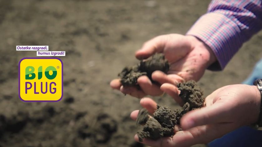 BioPlug