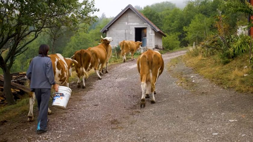 Žene u poljoprivredi
