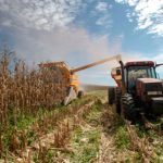 Proizvodnja kukuruza