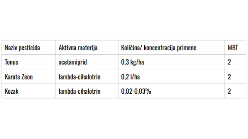 Zaštita maline nakon berbe © PIS Zaštita maline