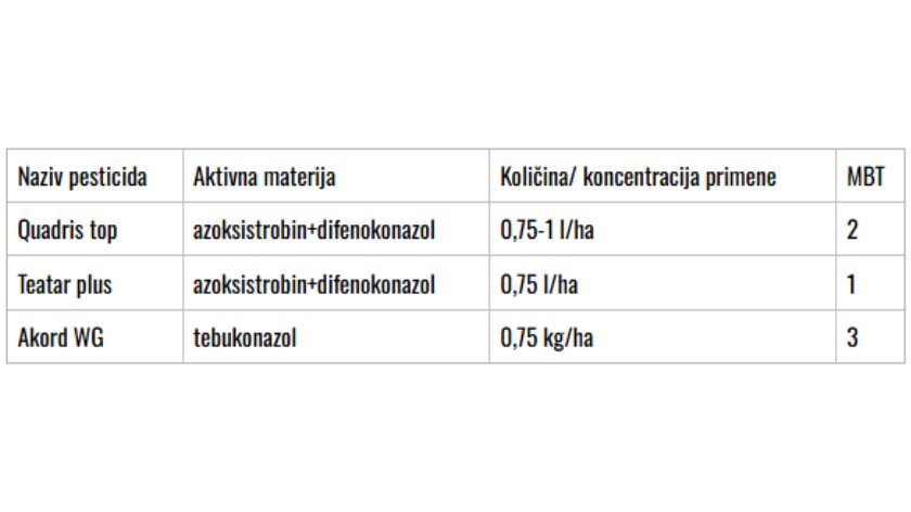 Ne zaboravite malinu posle berbe – pravi posao tek počinje! © PIS Zaštita maline