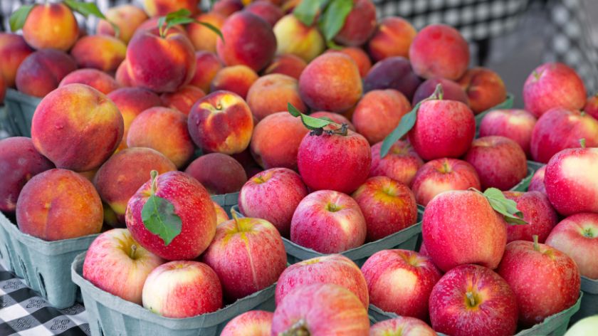 Pad proizvodnje bresaka i nektarina u EU © Canva Agrarna politika