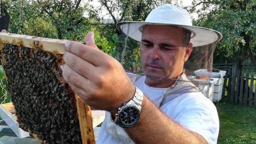 Sezona je lošija zbog suše, mrazeve i kiše © Pčelinjak Petronijević/Dejan Davidović Pčelinjak Petronijević