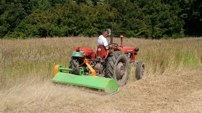 Pokrovni usevi - tehnologija za budućnost © dr Vladan Ugrenović Pokrovni usevi