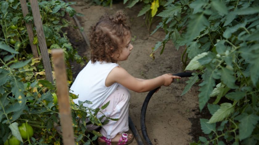 Zalivajte oprema potrebama biljke © Canva Zalivanje