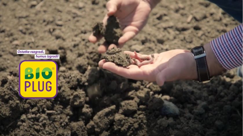 BioPlug