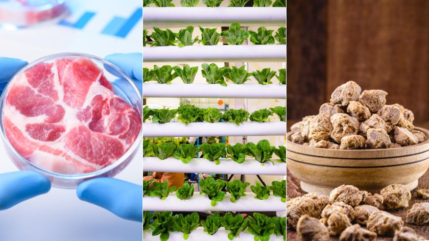 Hrana budućnosti © Canva Hrana budućnosti