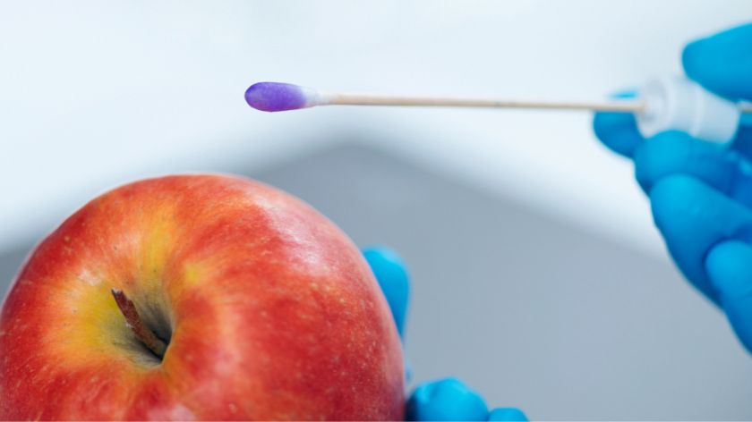 Pesticidi u voću i povrću © Canva Pesticidi