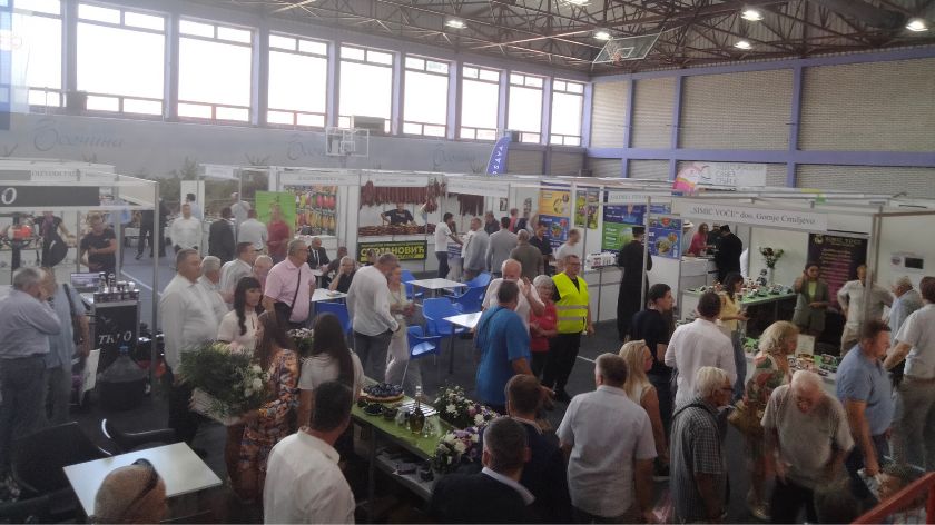 Sajam šljiva u Osečini © AGROmedia/Dejan Davidović Sajam šljiva