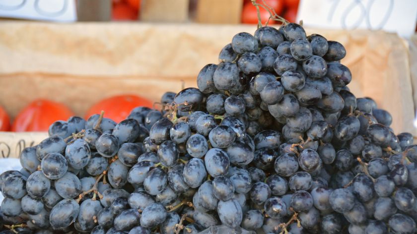 Cene voća i povrća