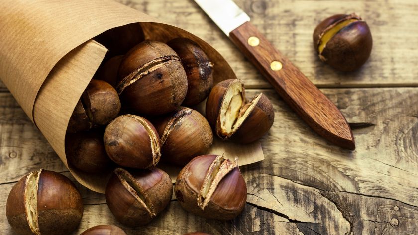 Kesten je izuzetno bogat hranljivim materijama © Canva Kestenje