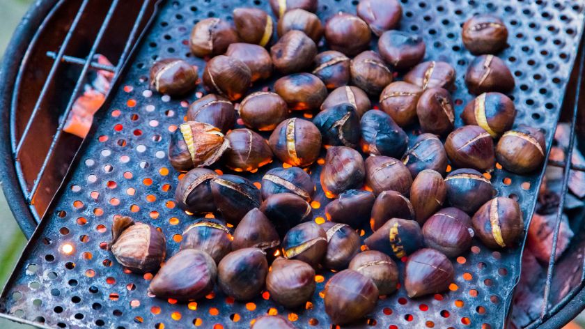 Kesten smanjuje inflamatorne procese © Canva Kestenje