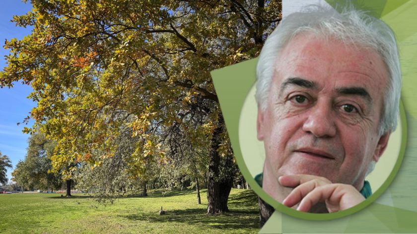 Miholjsko leto © AGROmedia/Budimir Budo Novović Kolumna