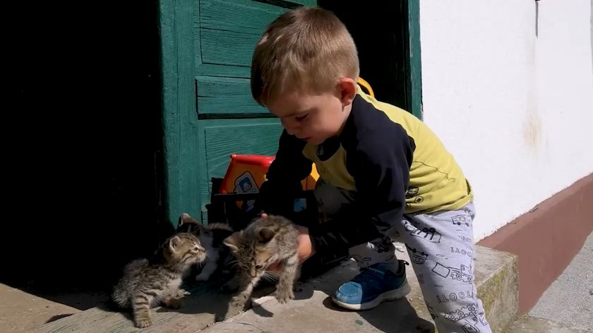 Kupovina kuće na selu