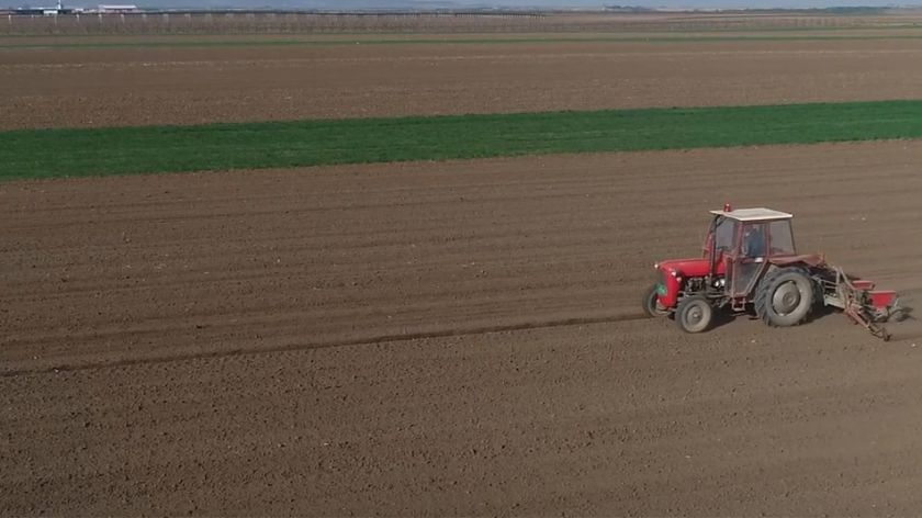 Setva pšenice pod znakom pitanja © AGROmedia/Youtube screenshot Setva pšenice
