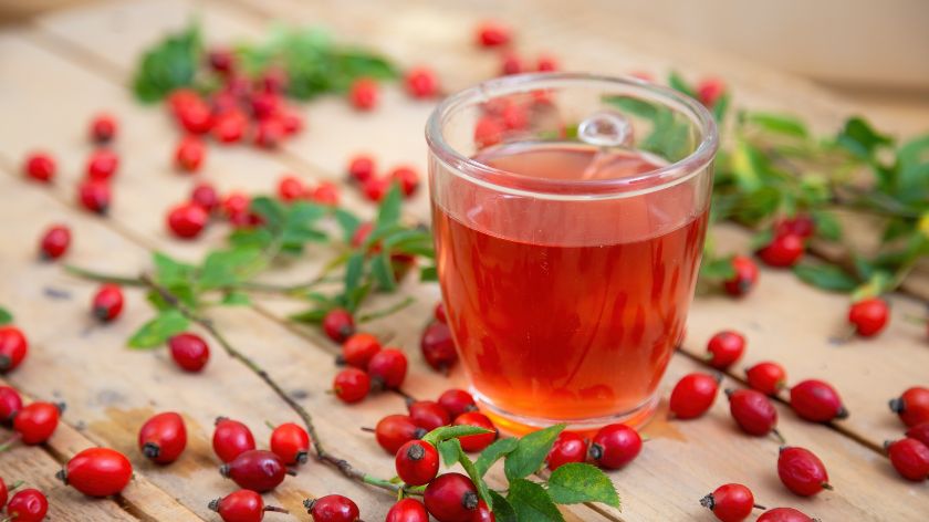 Šipurak sadrži dosta vitamina C © Canva Šipurak