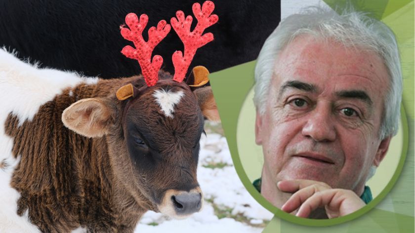 Godina bez stava © AGROmedia/Budimir Budo Novović Kolumna