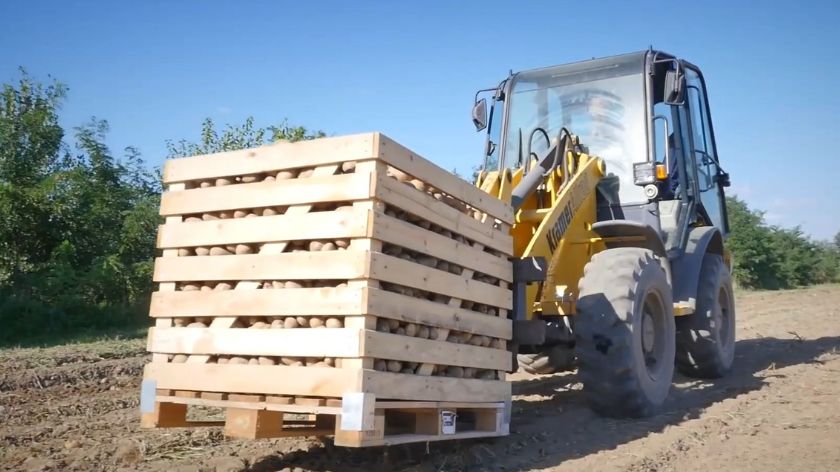 Jeftin krompir iz Evrope ruši domaću proizvodnju