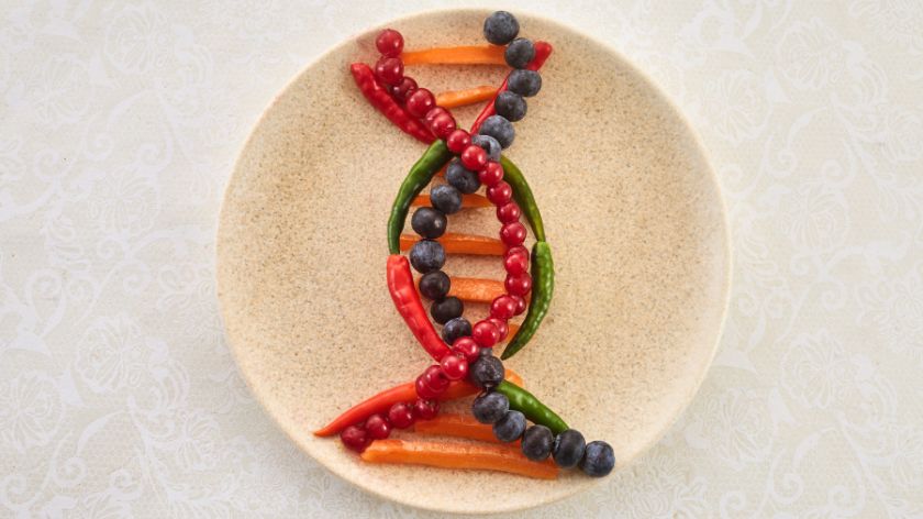 Genetske promene hrane