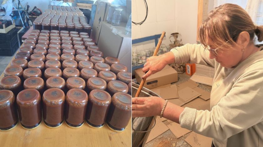 Svetlanin džem od šipurka © Aleksa Tomić Voćarstvo