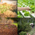 Intenzivno baštovanstvo