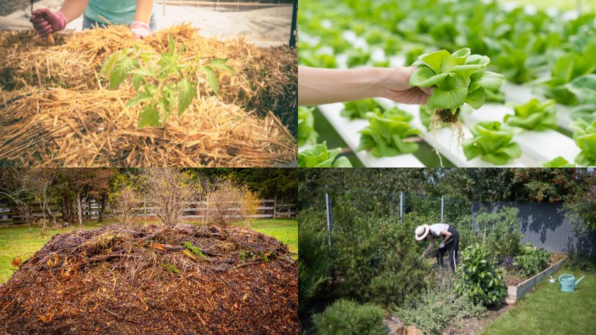 Intenzivno baštovanstvo