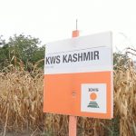 KWS Kashmir