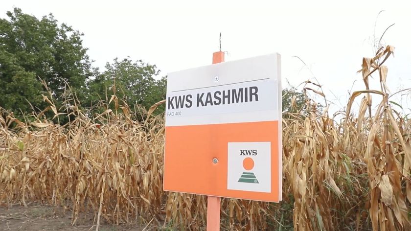 KWS Kashmir