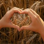 Poljoprivreda FAO projekat