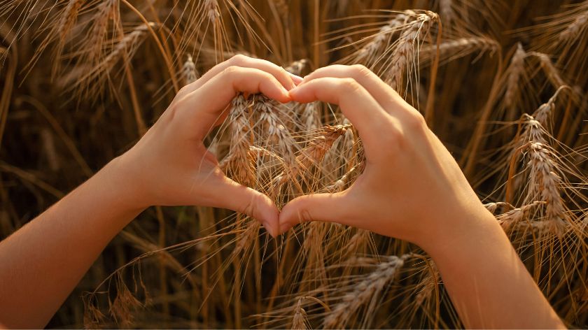 Poljoprivreda FAO projekat