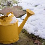 Zalivanje zimi