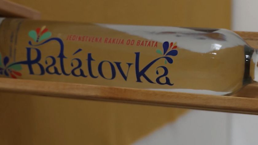 Kad batat postane rakija, nastaje batatovka © AGROmedia/Youtube screenshot Batat proizvodnja