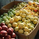 Cene voća i povrća