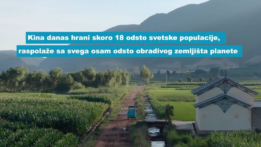 Kineska poljoprivreda