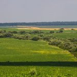 Cena poljoprivrednog zemljišta