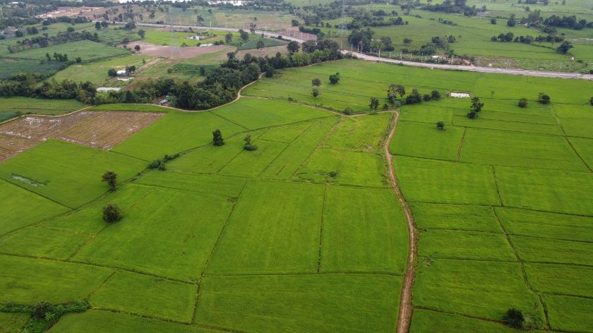 Sve više bogatih ljudi danas kupuje zemlju © Canva Cene zemljišta