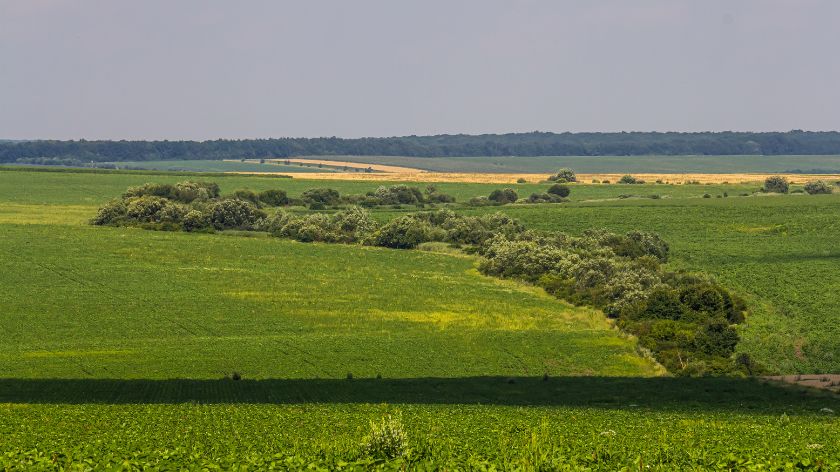 Cena poljoprivrednog zemljišta
