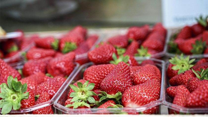 Cene voća i povrća