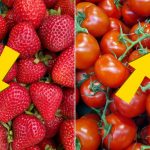 Cene voća i povrća