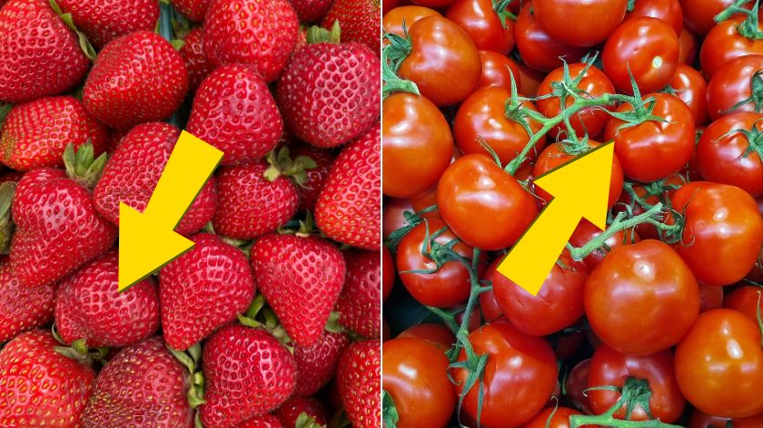 Cene voća i povrća