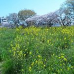 pomeranje godišnjih doba