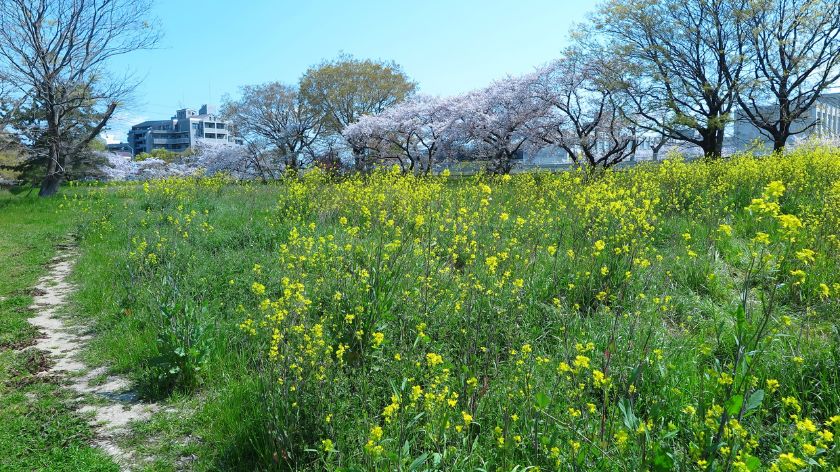 pomeranje godišnjih doba