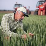 Pravilnik o subvencijama