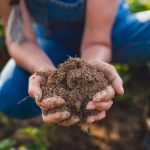 Regenerativna poljoprivreda