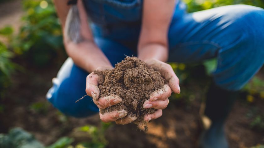 Regenerativna poljoprivreda